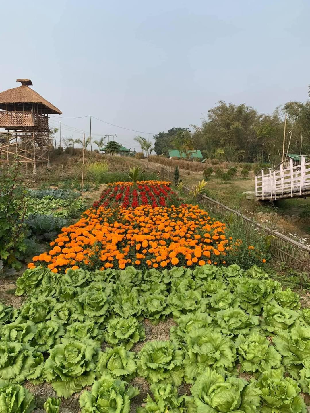 Bogibil Eco Resort New Dibrugarh Kültér fotó