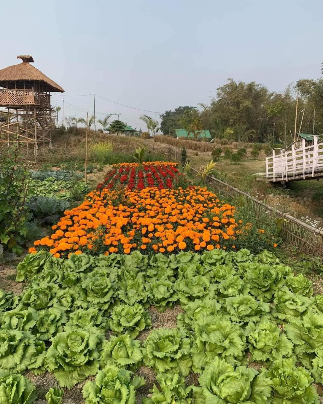 Bogibil Eco Resort New Dibrugarh Kültér fotó