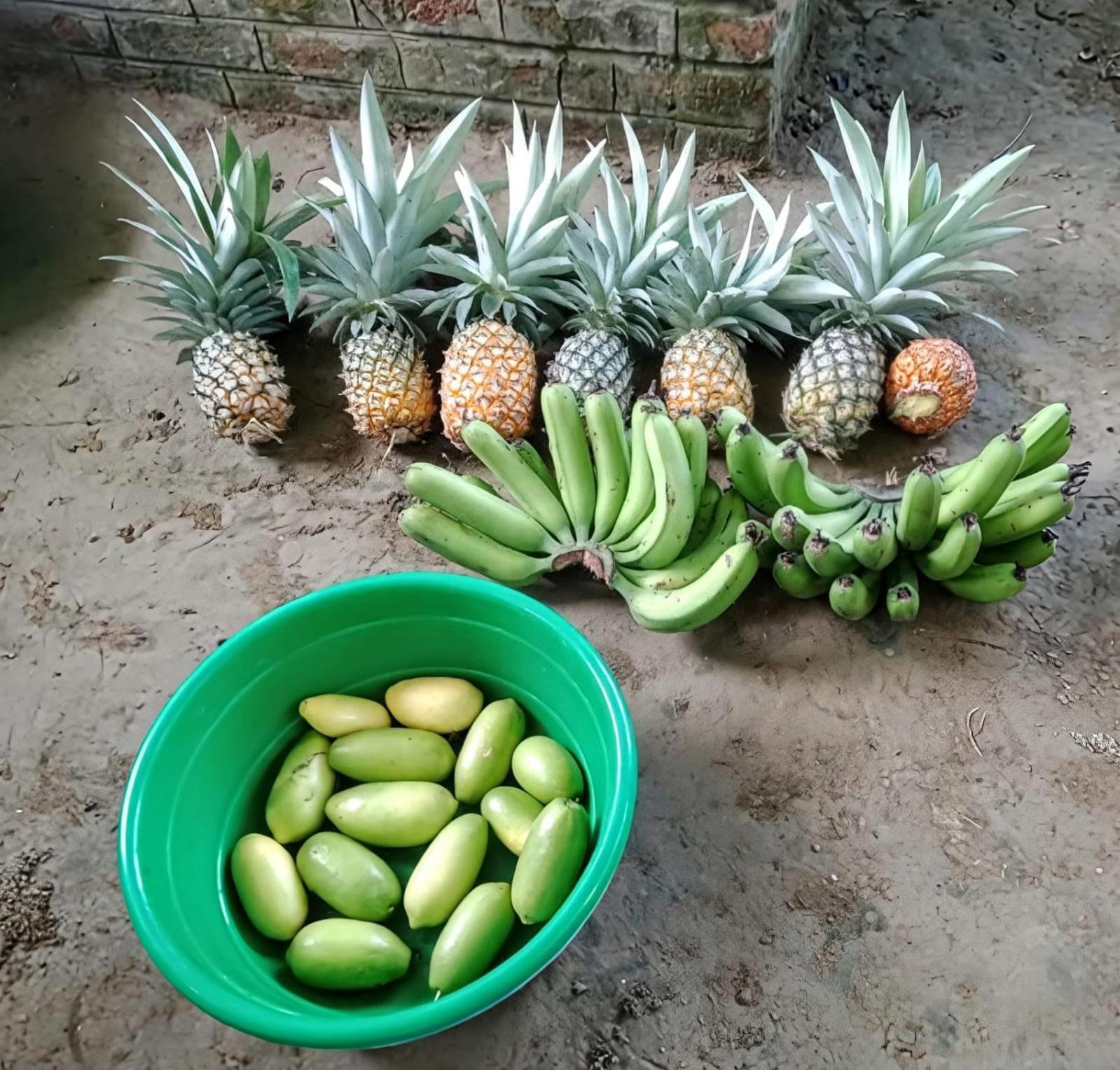 Bogibil Eco Resort New Dibrugarh Kültér fotó