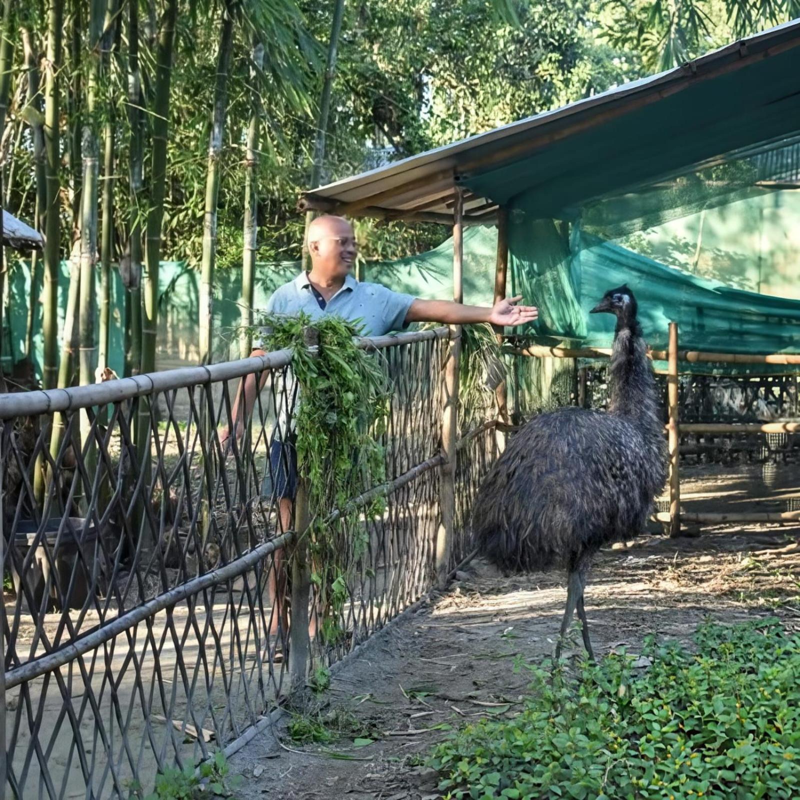 Bogibil Eco Resort New Dibrugarh Kültér fotó
